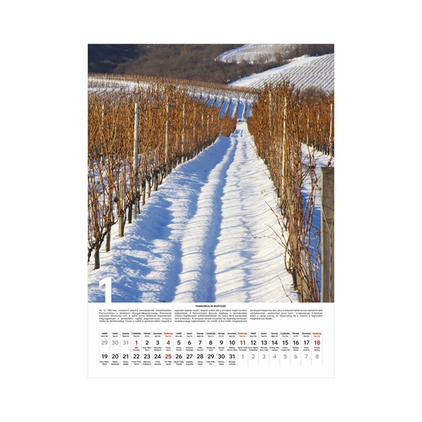 Kalendart 2026 T093 Borvidékeink falinaptár