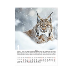 Kalendart 2026 T093 Vadászat falinaptár