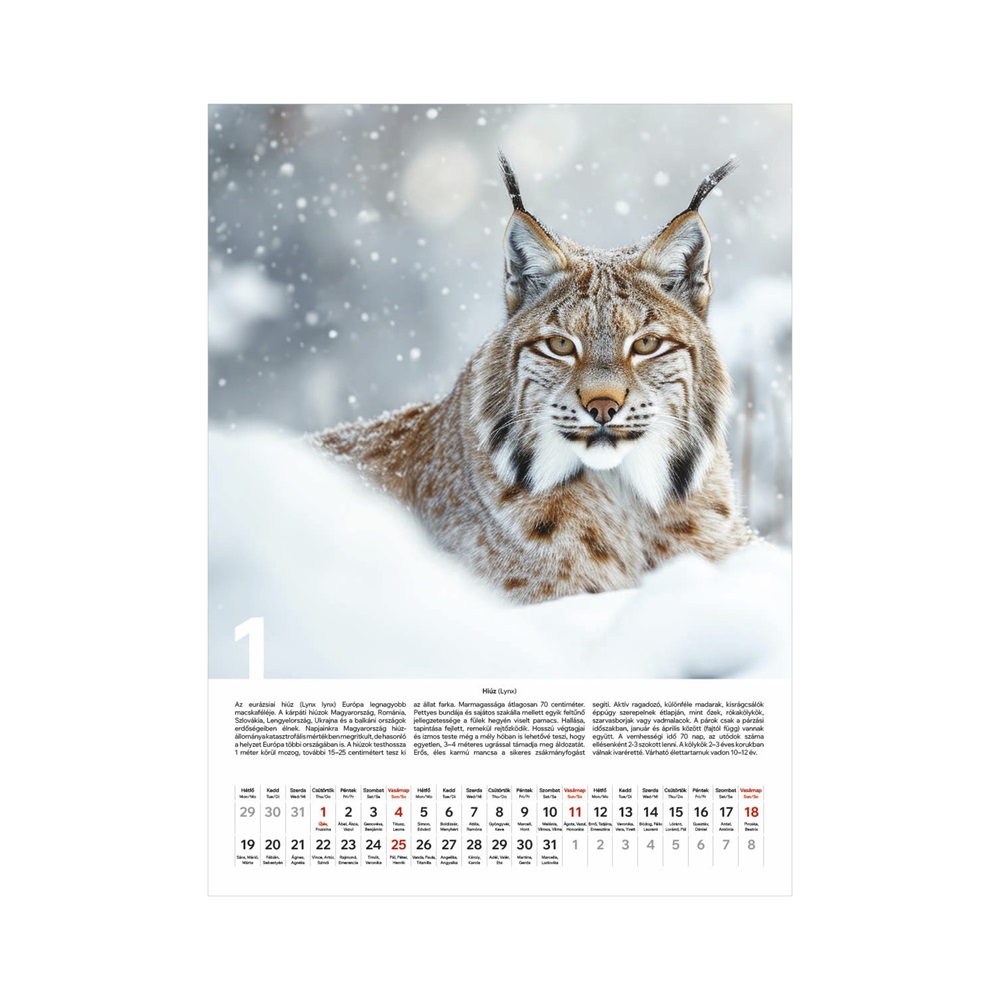 Kalendart 2026 T093 Vadászat falinaptár