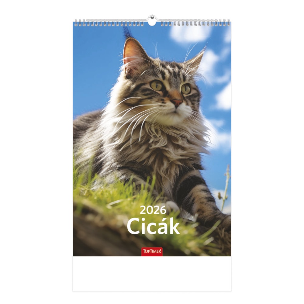 Kalendart 2026 T094 Cicák falinaptár