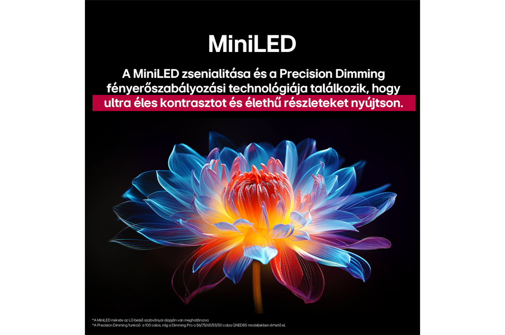 LG 100" 100QNED86A6 4K UHD AI Smart QNED evo MiniLED TV