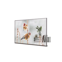 LG 55" 55EW5P-M FHD OLED LFD kijelző