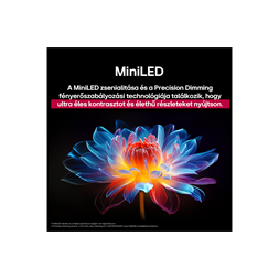 LG 65" 65QNED9MA3B 4K UHD AI Smart Gamer QNED evo MiniLED TV