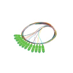 Lanberg FP-SCAP-SS21-1202-MC Monomódusú SC/APC optikai pigtail kábel 2m 12db/csomag