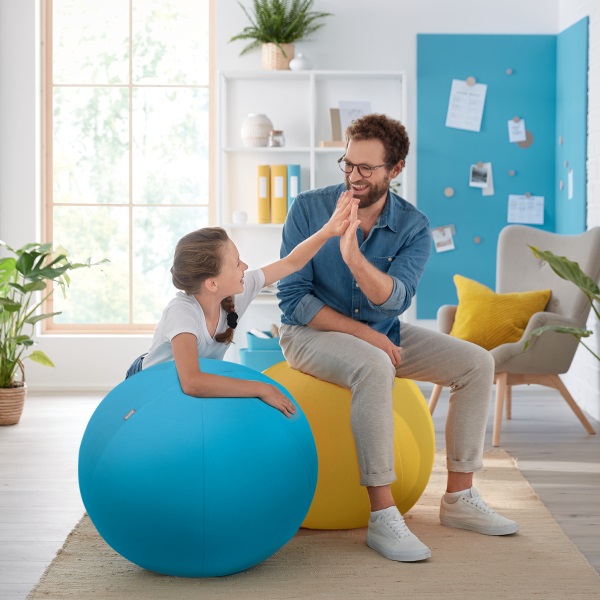 Leitz COSY Ergo bársony szürke ülőlabda