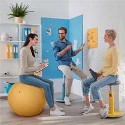 Leitz COSY Ergo bársony szürke ülőlabda