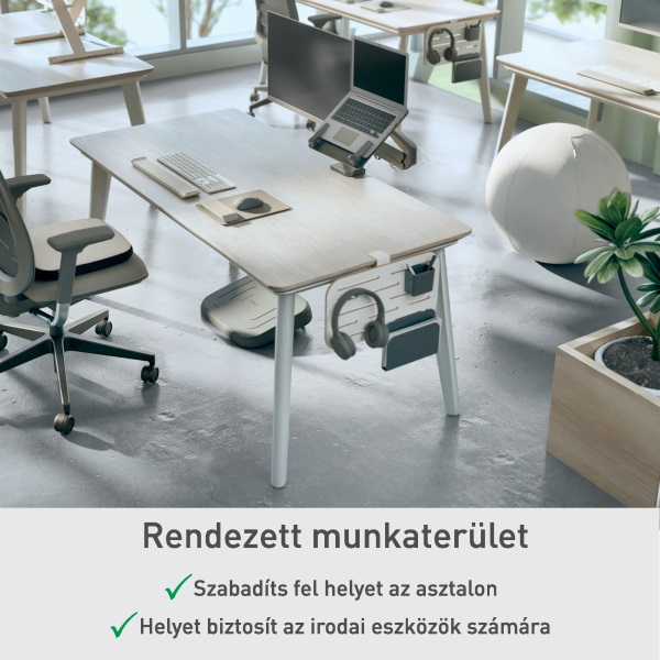 Leitz Ergo 42x25 cm fehér függőleges asztali rendszerező
