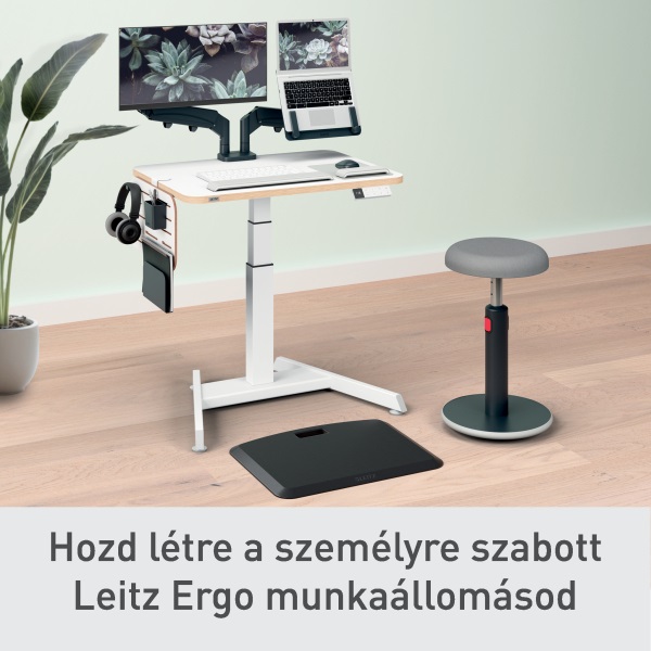 Leitz Ergo 42x25 cm fehér függőleges asztali rendszerező