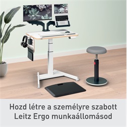 Leitz Ergo 42x25 cm fehér függőleges asztali rendszerező