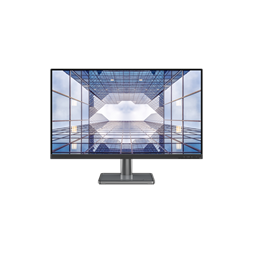 Lenovo 31,5" L32P-30 UHD IPS HDMI/DP/USB WLED monitor