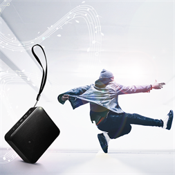 Logilink SP0057 hangszóró, hordozható, Bluetooth, FM rádióval, fekete