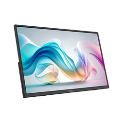 MSI 15,6" PRO MP165 E6 FHD IPS USB-C/miniHDMI fekete monitor