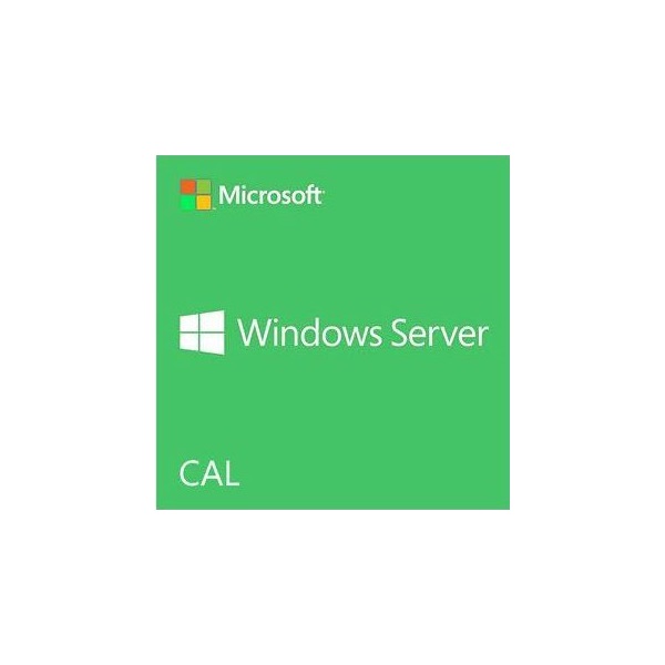 Microsoft Windows Server 2019 User CAL  1 felhasználó ENG D-Oem 1pack szerver szoftver