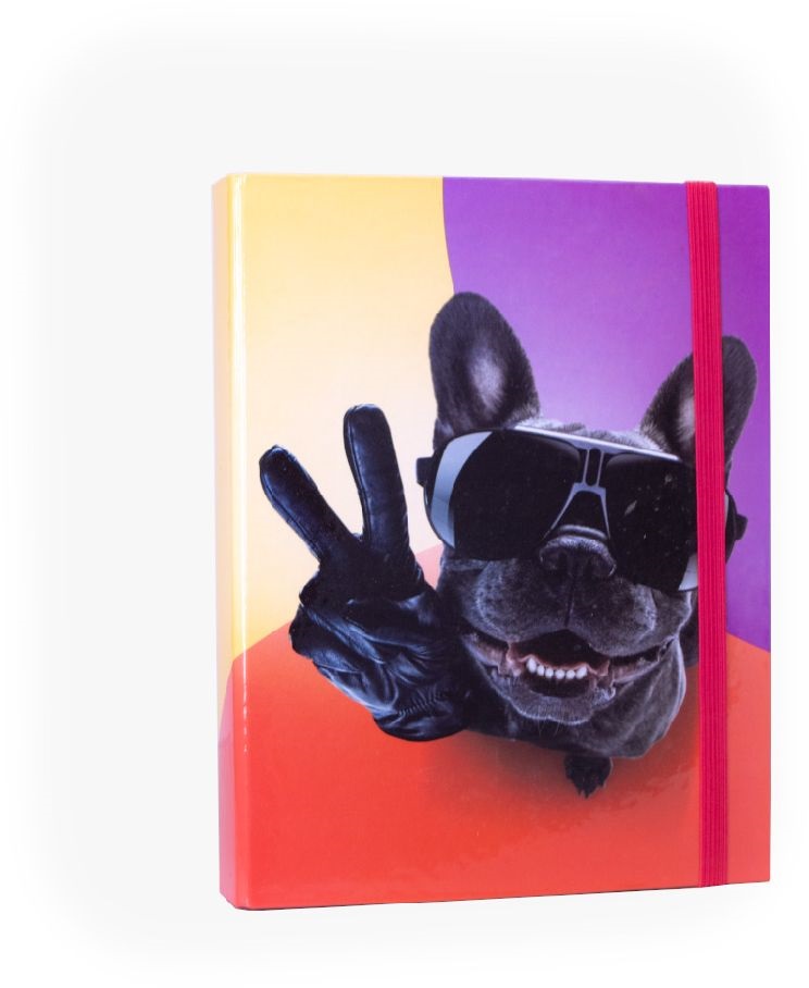 Nebulo Cool Bulldog A5 füzetbox