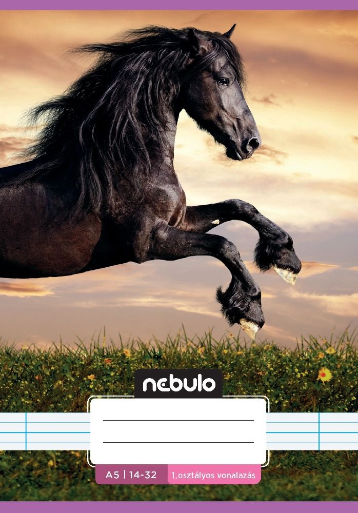 Nebulo Cuki minták A5 1. osztályos 14-32 tűzött vonalas füzet