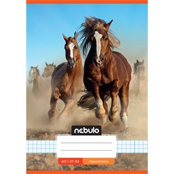 Nebulo Cuki minták II A5 27-32 tűzött kockás füzet