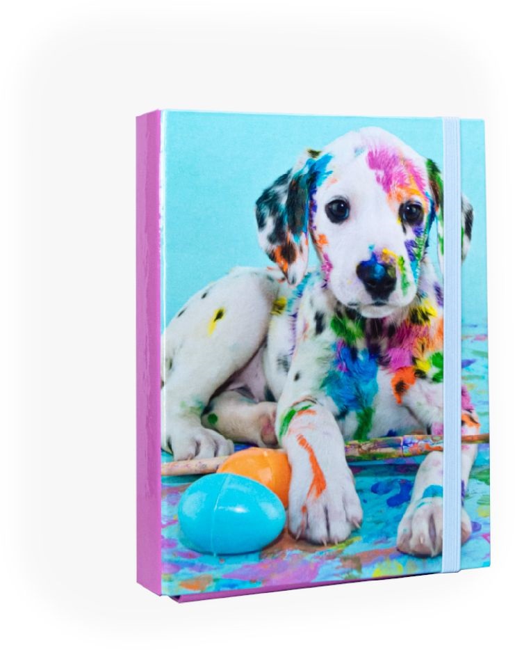 Nebulo Dalmata A5 füzetbox