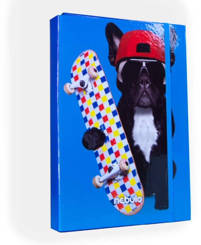 Nebulo Deszkás bulldog A4 füzetbox