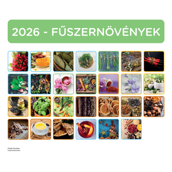 Nebulo Fűszernövény 2026 2 heti mágneses naptár