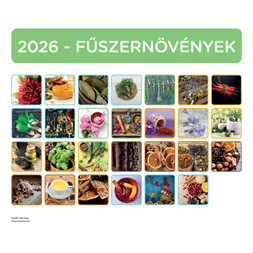 Nebulo Fűszernövény 2026 2 heti mágneses naptár