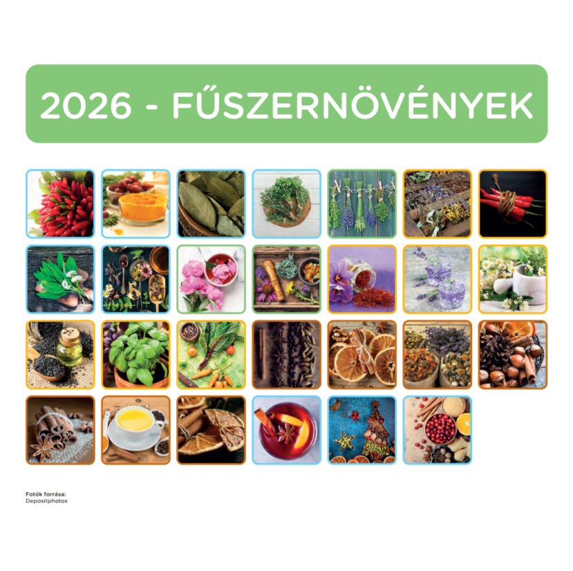 Nebulo Fűszernövény 2026 2 heti mágneses naptár
