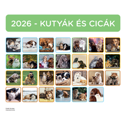Nebulo Kutya-Cicák 2026 2 heti mágneses naptár