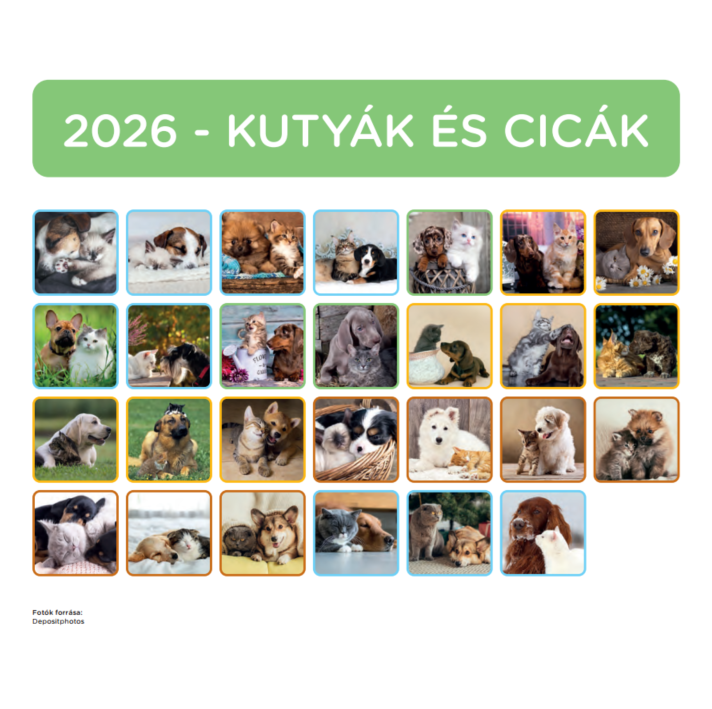 Nebulo Kutya-Cicák 2026 2 heti mágneses naptár