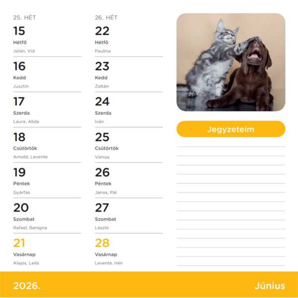 Nebulo Kutya-Cicák 2026 2 heti mágneses naptár