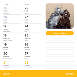 Nebulo Kutya-Cicák 2026 2 heti mágneses naptár