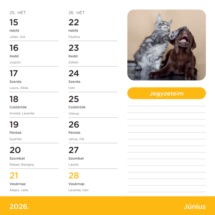 Nebulo Kutya-Cicák 2026 2 heti mágneses naptár