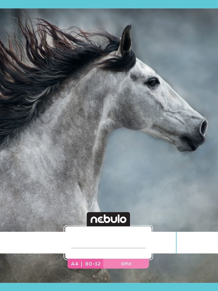 Nebulo L-Design A4 80-32 tűzött sima füzet