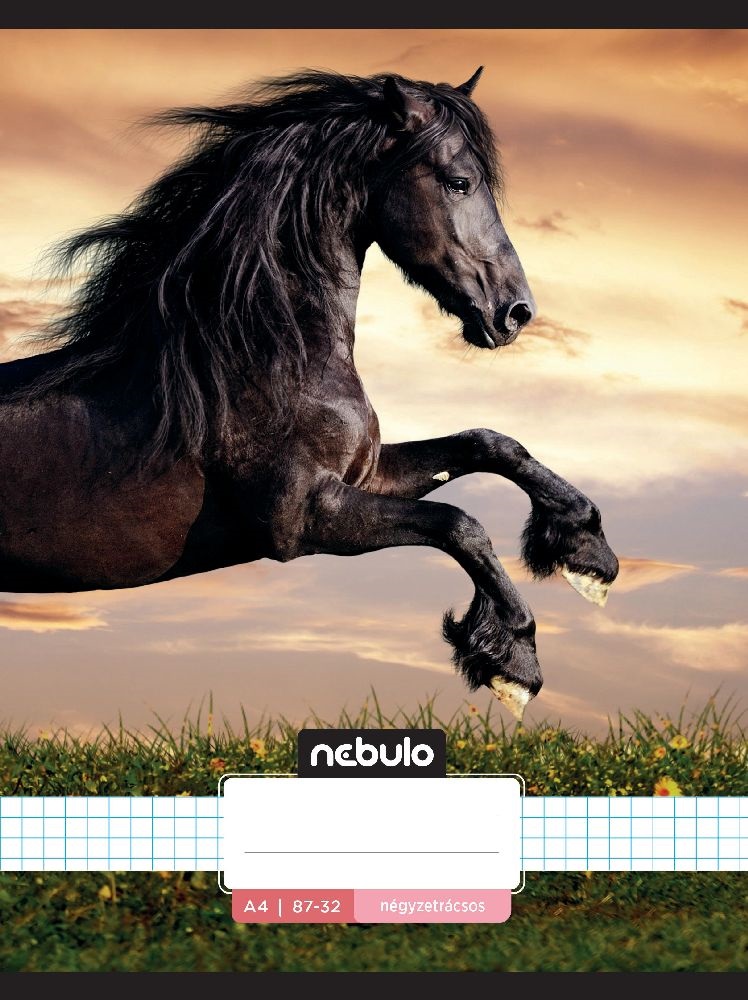 Nebulo L-Design A4 87-32 tűzött kockás füzet
