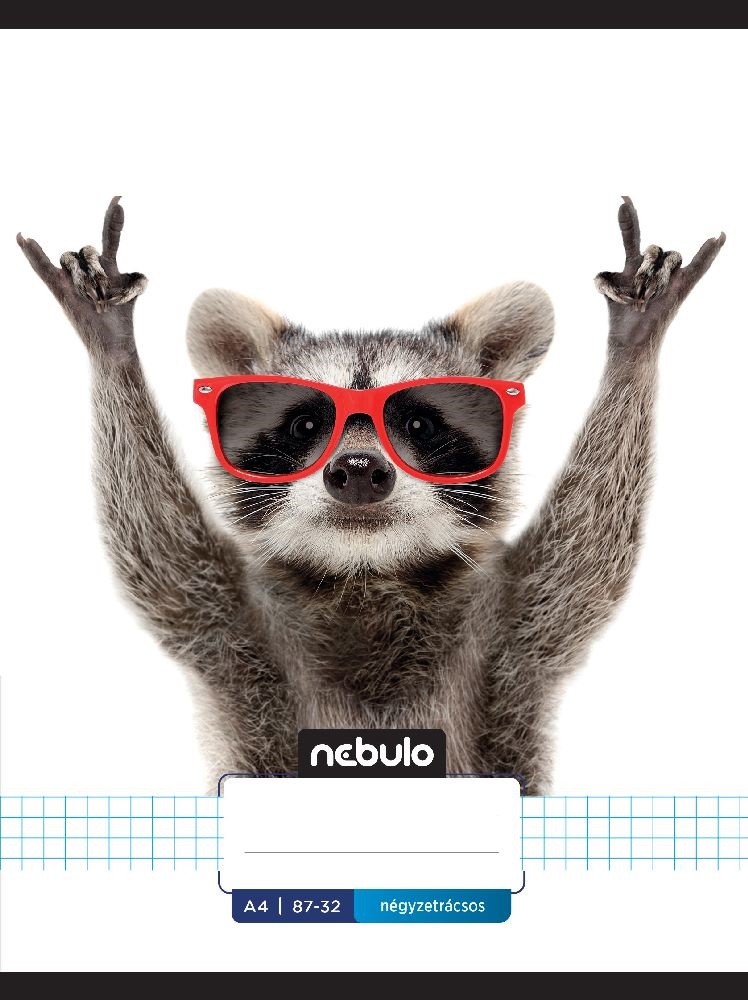 Nebulo Xtreme A4 87-32 tűzött kockás füzet