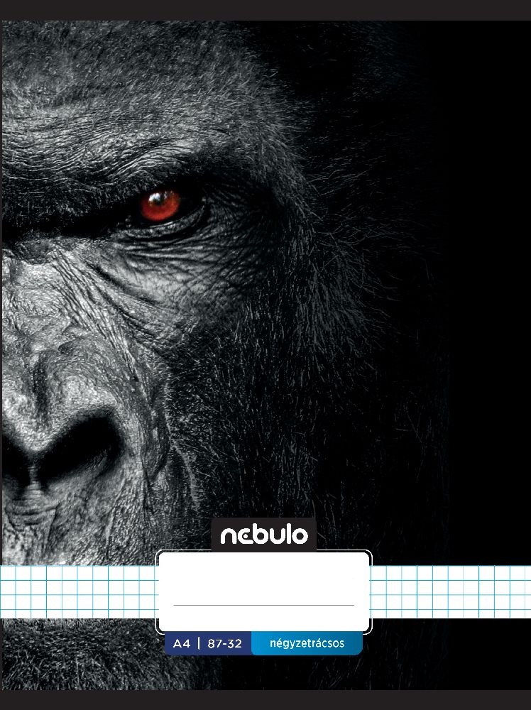 Nebulo Xtreme A4 87-32 tűzött kockás füzet