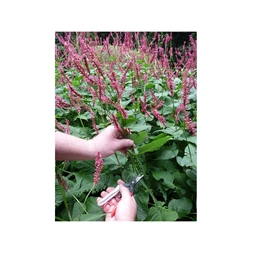 Okatsune 304 egyenes pengéjű metszőolló