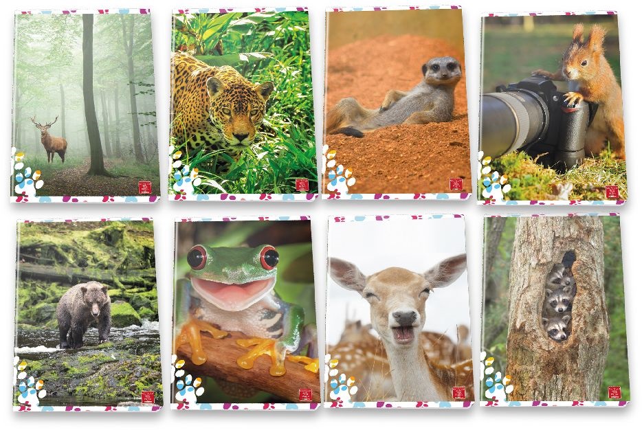 Pigna Animal Cute and Funny A4 tűzött 50lapos vonalas füzet