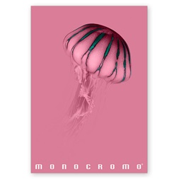 Pigna Monocromo Pink A4 38 lap, tűzött, kockás füzet
