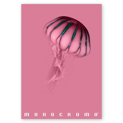 Pigna Monocromo Pink A4 38 lap, tűzött, kockás füzet