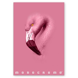 Pigna Monocromo Pink A4 38 lap, tűzött, kockás füzet