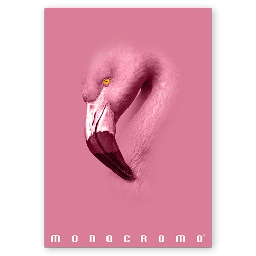 Pigna Monocromo Pink A4 38 lap, tűzött, kockás füzet