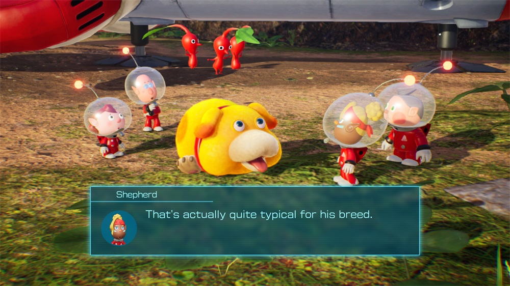 Pikmin 4 Nintendo Switch játékszoftver