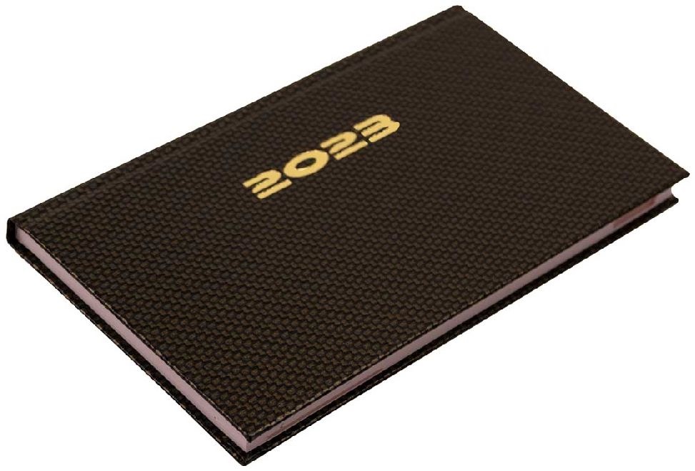Realsystem 2025 Carbon 5711-82 fekvő bronz zsebnaptár