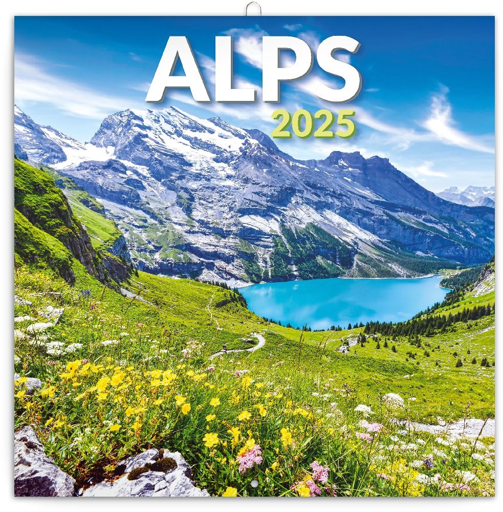 Realsystem 2025 Alps 6097-AL falinaptár