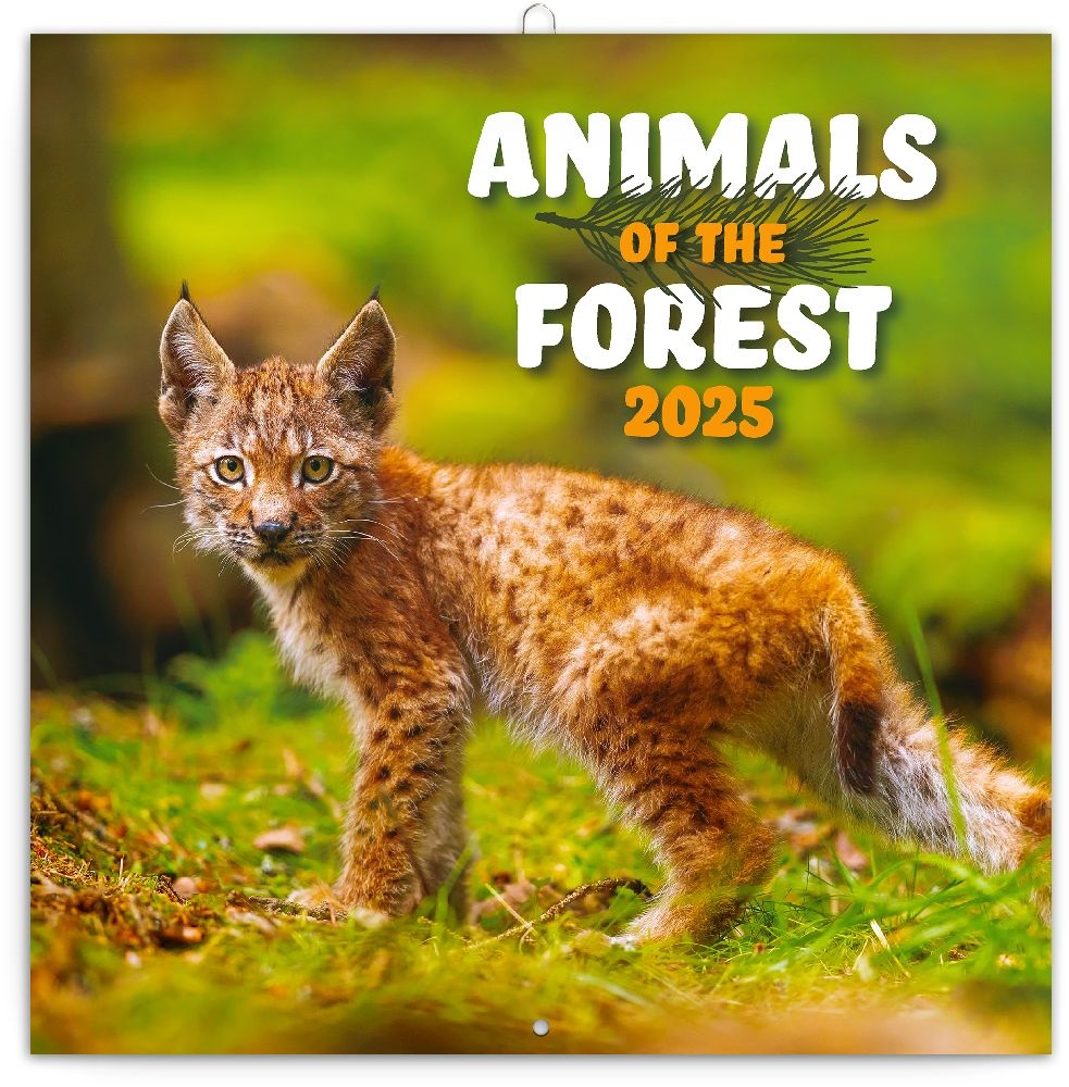 Realsystem 2025 Animals of the Forest 6097 falinaptár