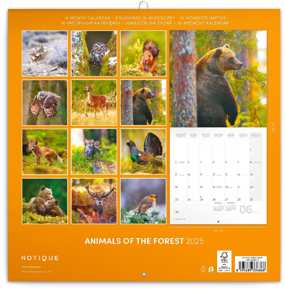 Realsystem 2025 Animals of the Forest 6097 falinaptár
