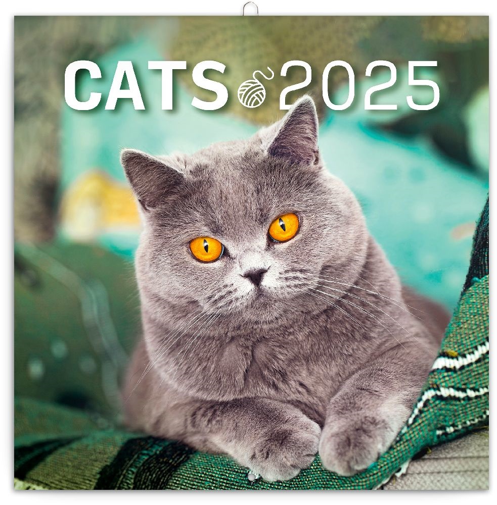 Realsystem 2025 Cat 6097-CA falinaptár