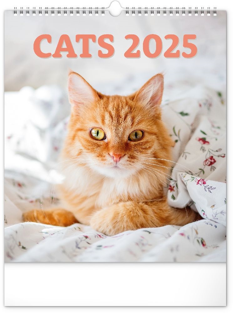 Realsystem 2025 Cats 6087-CA falinaptár