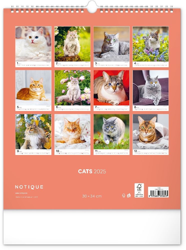 Realsystem 2025 Cats 6087-CA falinaptár