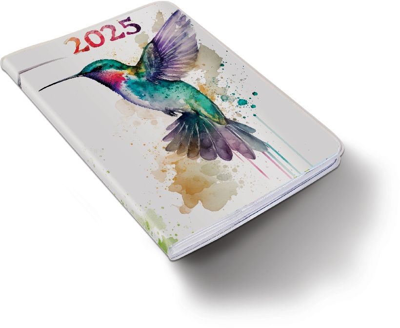 Realsystem 2025 Fiestina Light 5411-73 kolibri B6 zsebnaptár