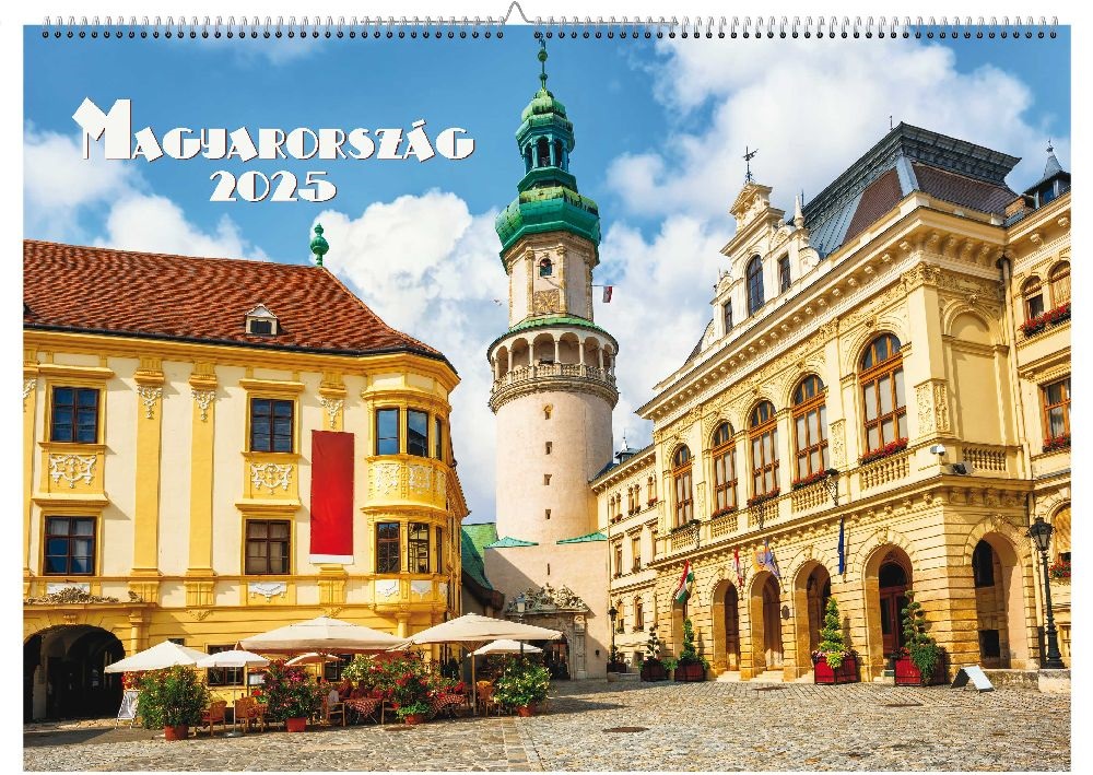 Realsystem 2025 Magyarország 6091-MO falinaptár